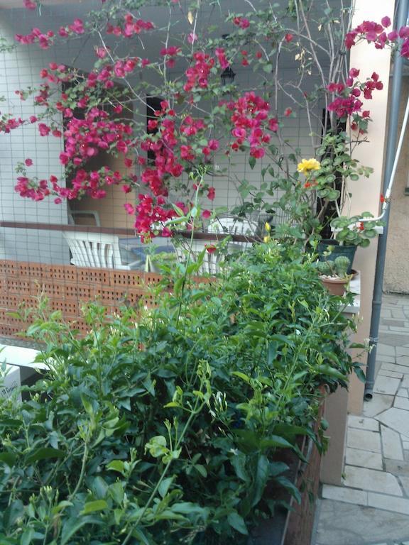 Apartments Anica Sobra Exterior photo